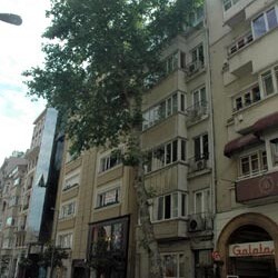 Orhan Pamuk over een kastanjeboom en het Gezi-park in Taksim