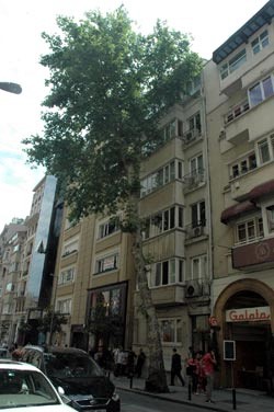 Orhan Pamuk over een kastanjeboom en het Gezi-park in Taksim